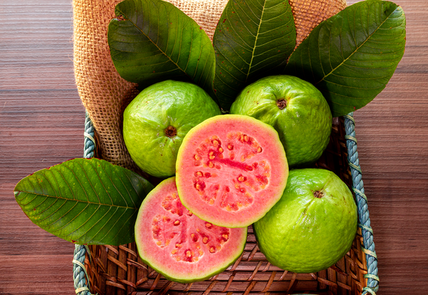 Guava
